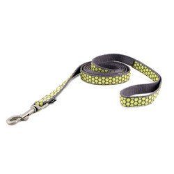 PetSafe Fido Finery Leash (Dotted Bliss, 6" x 3/4)