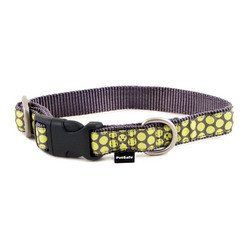 PetSafe Fido Finery Quick Snap Collar (Medium, Dotted Bliss)