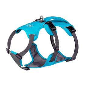 Pet Harness Dog Hand Holding Rope (Option: Blue-S)